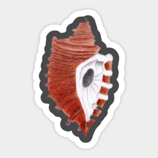 Seashells 1 Sticker